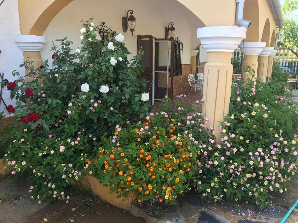 Finca La Rosalia Setenil De Las Bodegas Eksteriør billede